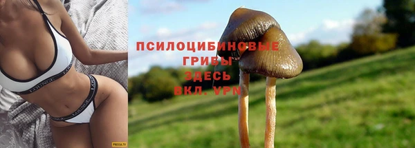 хмурый Беломорск